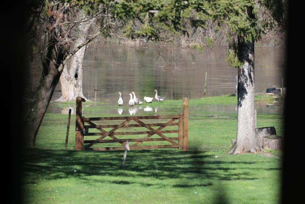 Le Ponton Des Sympetrums Aurec-Sur-Loire Luaran gambar