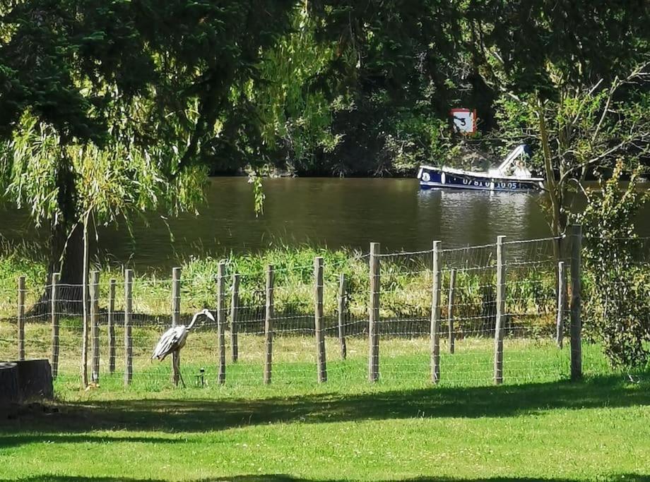 Le Ponton Des Sympetrums Aurec-Sur-Loire Luaran gambar